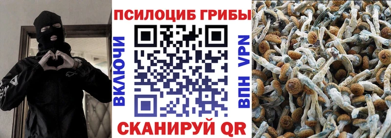 MEGA зеркало  Котельниково  Галлюциногенные грибы прущие грибы  что такое наркотик 